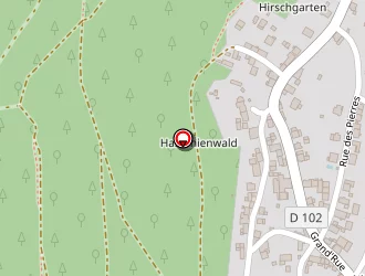 Carte de Agence Hcorp à Haegen