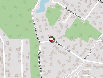 Carte de Sorokine Eléna à Saint-rémy-lès-chevreuse