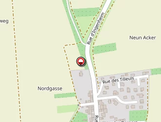 Carte de Marechal Angèl à Duntzenheim