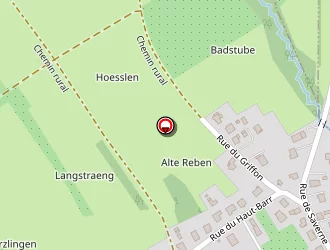 Carte de Antoni Dominique à Gottenhouse