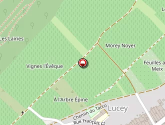 Carte de Migot Alain à Lucey