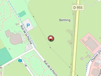 Carte de D.v.s Automobile à Sarrebourg