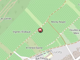 Carte de Mairie à Lucey