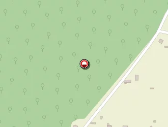 Carte de Vassel Jean à Amillis