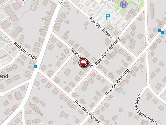 Carte de Toilettage Pluto Cool à Sarrebourg