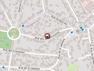 Carte de Plainecassagne Georges à Palaiseau