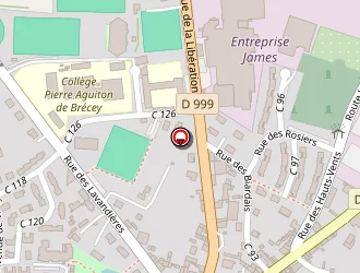 Carte de Presbytère à Brécey