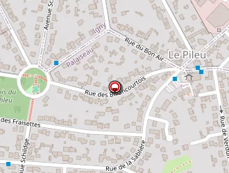 Carte de Assedou Moïse à Palaiseau