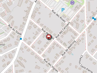 Carte de Martin Jérôme à Sarrebourg