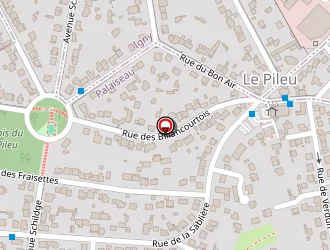 Carte de Arriere Cour à Palaiseau