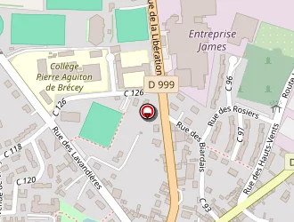 Carte de Lethimonnier à Brécey