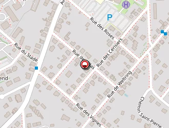 Carte de Trillaud Jean à Sarrebourg