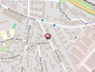 Carte de Pezon Nellia à Igny