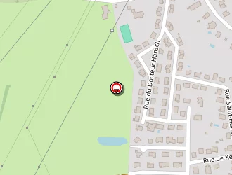 Carte de Turk Denis à Sarrebourg