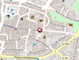 Carte de Rapid' Flore à Sarrebourg