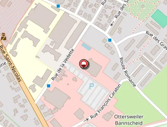 Carte de Ozkilic Aysé à Saverne