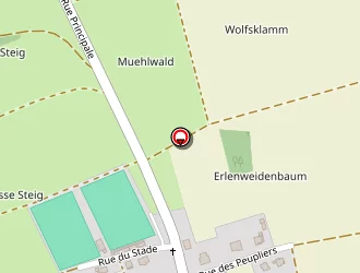 Carte de Le Nain Patrick à Waldolwisheim