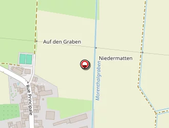 Carte de Mairie à Ingenheim