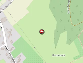 Carte de Toutes Poses à Henridorff