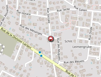 Carte de Zenss Anne Marie à Brumath