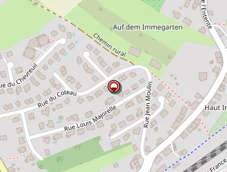 Carte de Pizza Giana à Sarrebourg