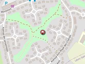 Carte de Lenvoise Pierre à Mesnil-saint-denis (le)