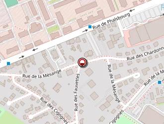 Carte de Mourman Alain à Sarrebourg