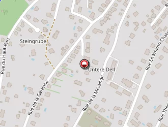 Carte de Schmidt Emmanuelle à Saverne