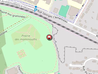 Carte de Fortunella à Tournan-en-brie