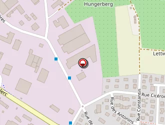 Carte de Hoechstetter à Brumath