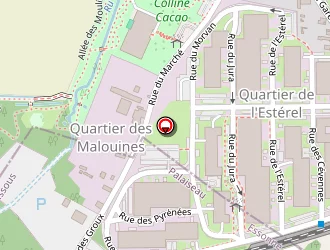 Carte de Laboratoires Menarini à Rungis