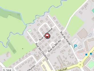 Carte de Chemin Corvée Electricité (eirl) à Flers