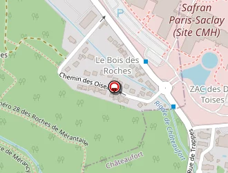 Carte de Safran à Châteaufort