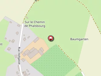 Carte de Lambour Pierre à Dannelbourg