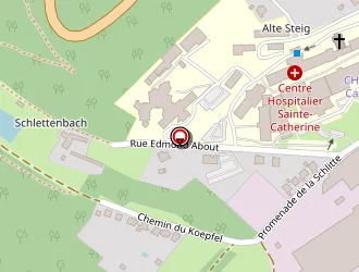 Carte de Ohlmann à Saverne