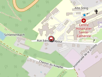 Carte de Maison St Paul à Saverne