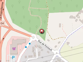 Carte de Cadot Todesco Fabrice à Lésigny