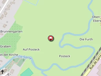 Carte de Tombe Cleaner à Sarrebourg