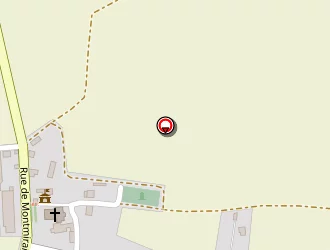 Carte de Didry Lionel à Neuvy