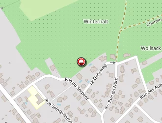 Carte de Mengus Victor à Saverne