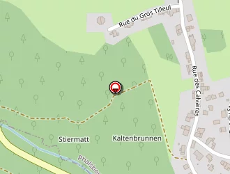 Carte de Nirrengarten Olivier à Phalsbourg