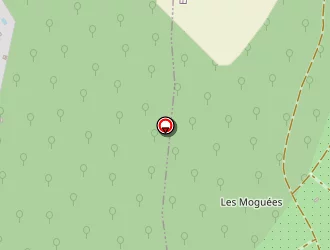 Carte de Barbier Diffusion à Lay-saint-christophe