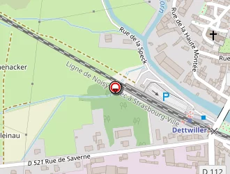 Carte de Roesch René à Dettwiller