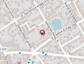 Carte de Royal Marigny (snc) à Limeil-brévannes