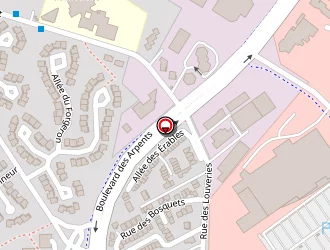 Carte de Basraoui Ahmida à Coignières