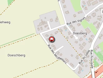 Carte de Sewosy à Bernolsheim