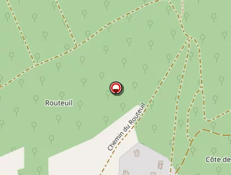 Carte de Coffion Julien à Lay-saint-christophe