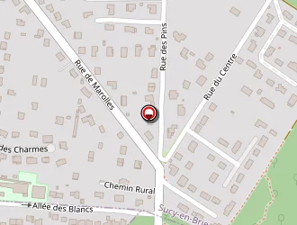 Carte de Napoli Anthony à Boissy-saint-léger