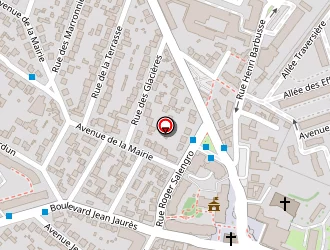 Carte de Hamrioui Samia à Fresnes