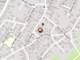 Carte de Schott Francis à Bischwiller